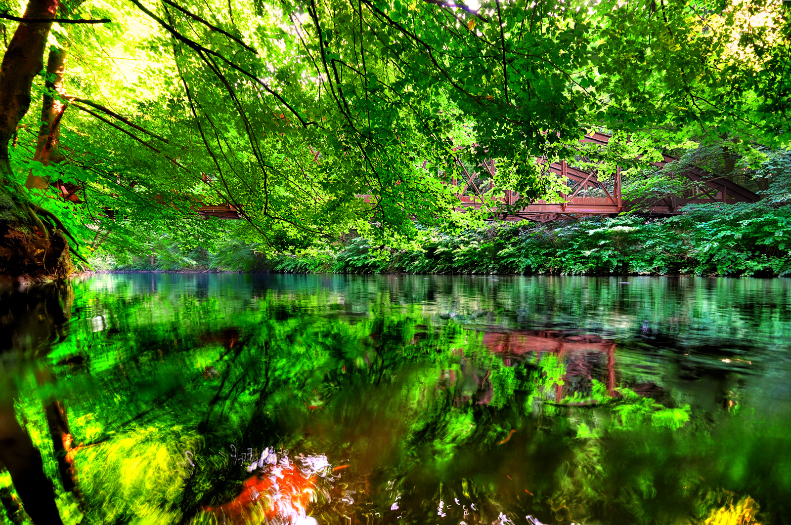 Die Wupper - Amazonas des Bergischen Lands